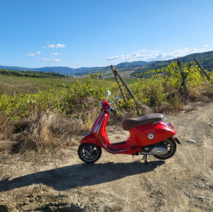 vespas and vespuccis