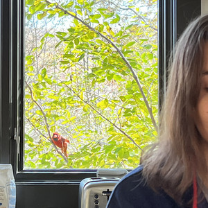 spooky victorian children