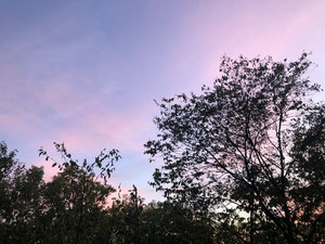 that feeling when your discover weekly slaps