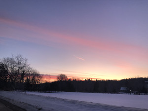 the less i know the better